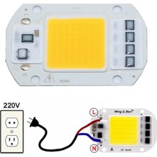 220V 50W Power LED Warm White