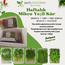 Pauls Micro Farm Haftalık Mikro Yeşil Kür 200 gr