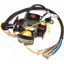 Motosvn Cg Kuba Statör 4 Lü 5 Kablo