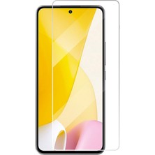 Xiaomi 12 Lite Kırılmaz Cam Şeffaf 0.3mm Kılıf Dostu Temperli Ekran Koruyucu