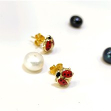 Altın Ofisi Uğur Böceği Vidalı Küpe 14 Ayar Altın HD VİDEOLU