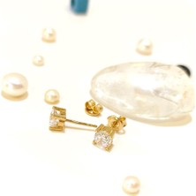 Altın Ofisi 5mm Tek Taş Vidalı Küpe 14 Ayar Altın Hd Videolu