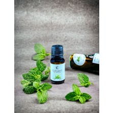 %100 Doğal Nane Yağı (Piperita) - 10 ml - Bakım Yağı, Uçucu Yağ