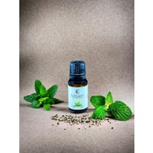 %100 Doğal Nane Yağı (Piperita) - 10 ml - Bakım Yağı, Uçucu Yağ