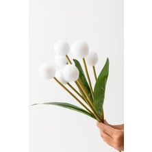 Yapay Ponpon Çiçeği Beyaz 35 cm 7 Dal