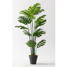 Yapay Devetabanı(Monstera) Ağacı 180 cm