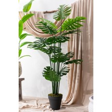 Yapay Devetabanı(Monstera) Ağacı 180 cm