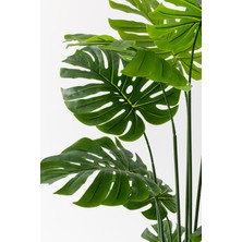 Yapay Devetabanı(Monstera) Ağacı 180 cm