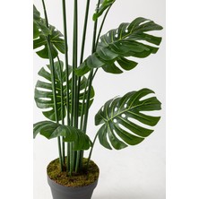 Yapay Devetabanı(Monstera) Ağacı 180 cm