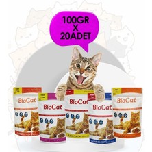 Karışık Soslu Kedi Yaş Maması Kedi Pounch 100 gr x 20 Adet