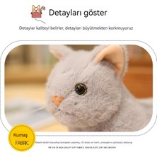 Love Chen 30CM Kedi Bebek Uzanmış Yavru Kedi Bebek (Yurt Dışından)