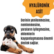 Tüy Dökülmesini Engelleyen Kedi ve Köpekler Için Tüy & Deri Güçlendirici Özel Destek Ürünü