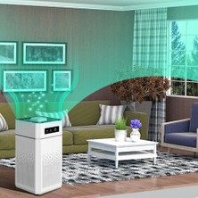 Taşınabilir Hava Temizleme Cihazı Ionizer Negatif Duman Koku Giderme Hepa Filtre Araba Hava Spreyi Ev Yatak Odası Için (Yurt Dışından)