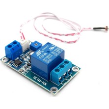Roboyol Store XH-M131 Ldr Işık Kontollü Röle 12V Gündüz Gece Algılayıcı Röle