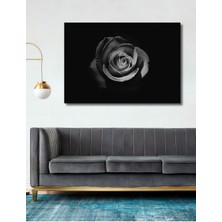 Teona Ahşap Dekoratif Ahşap Tablo Beyaz Gül Fotoğrafçılığı, Çağdaş 3 Boyutlu Şık Yatay Duvar Dekorasyon Tablosu