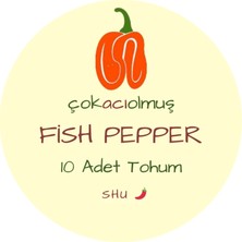 Çok Acı Olmuş Fish Pepper - 10 Adet Tohum