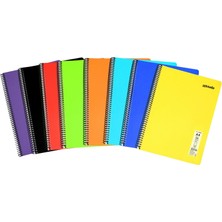 Mynote Flex Neon A4 Defter 96 Yaprak 4 Kareli 4 Çizgili Defter Seti