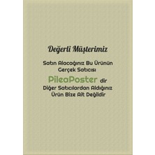 PP Handmade Pp Handmade,dekoratif Duvar Süsü Tukan Kuşu|turuncu|dekoratif Obje|duvar Dekorasyonu |duvar Objesi|dekoratif Kuş