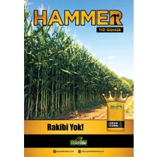 Green Life Hammer Slajlık Mısır Tohumu 50000 Adet