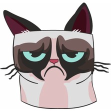Sticker Usta Kedi Üzgün Kedi Araba Oto Motosiklet Karavan Sticker 00460