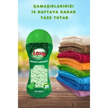 Loxy Clean Granürlü Yumuşatıcı Orman Esintisi