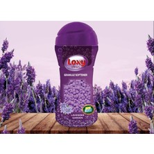 Loxy Clean Granürlü Yumuşatıcı Orman Esintisi