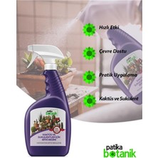 Patika Botanik 1 Lt Kaktüs ve Sukulentler Için Genel Besin - Yapraktan