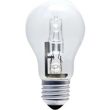 Genel Markalar 100 Watt Halojen Ampul (10 Adet)