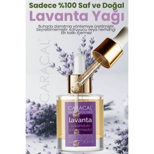 Caracal Lavanta Yağı 30ML Saf Doğal Katkısız