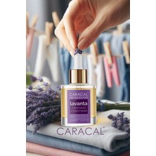 Caracal Lavanta Yağı 30ML Saf Doğal Katkısız