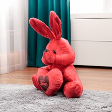 Kalp Tutan Tavşan Peluş 50CM Kırmızı