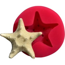 Depposite Deniz Yildizi Kokulu Taş Ve Sabun Kalıbı (5cm)