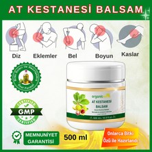 Organicsun At Kestanesi Balsamı Jeli Besleyici Masaj Kremi 500 ml