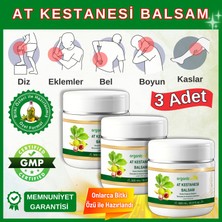 Organicsun At Kestanesi Balsamı 500 ml x 3 Adet Jeli Besleyici Masaj Krem