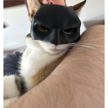 Kedi Batman Maskesi Kıyafeti