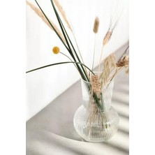 EA Home Concept Gusto Dekoratif Büyük Boy Vazo Karaf 17 cm