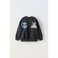 Yeni Sezon Erkek Çocuk Paw Patrol Baskılı Pamuklu Sweatshirt ve Eşofman Alt-Üst Ikili Takım