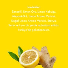 Mesh Stick Zencefil Limon Bitki Çayı 2 Paket Bir Arada