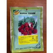 Bursa Tohum Cherry Belle Fındık Turp