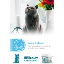 Kedi Kumu Ince Taneli Kokusuz Doğal Bentonit 8 Lt