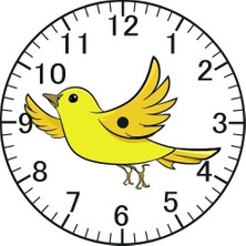 Özcan Tasarım Kanarya Model Duvar Saati - Kanaryalı Saat