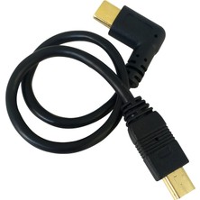 Qincao Mini USB Kablosu 5 Pin Erkek - Erkek USB 3.1 Tip C - Mini Otg Veri Kablosu Adaptörü Dönüştürücü Şarj Kablosu Uzunluğu 25 cm (Yurt Dışından)