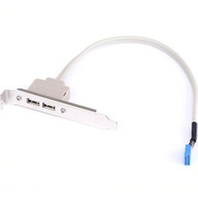 Qincao 2 Port USB 2.0 Ila 9 Pin Anakart Başlık Braketi Uzatma Kablosu Bilgisayar Arka Panel Braketi 9pin Sıcak Satış Adaptörü Yeni (Yurt Dışından)