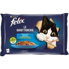 Felix Multipack Somonlu ve Ton Balıklı Yetişkin Kedi Yaş Maması 4X85 gr x 6 Paket