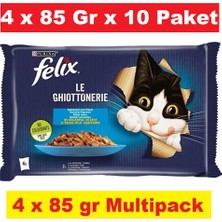 Felix Multipack Somonlu ve Ton Balıklı Yetişkin Kedi Yaş Maması 4X85 gr x 10 Paket