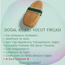 Unicuslife Doğal At Kılı Selülit/vücut Fırçası (Kese Hediyeli)