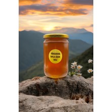 Ture Gurme Yüksekova Yayla Çiçek Balı 850GR
