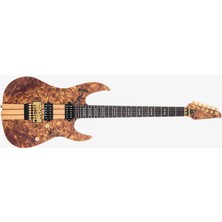 Sire Larry Carlton X10 Elektro Gitar Nts