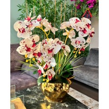 Nettenevime Yapay Çiçek 4lü Bordo Çilli Beyaz Islak Orkide Metal Yuvarlak Gold Vazoda Orkide 50cm