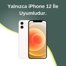 Paladyum Case iPhone 12 Uyumlu Lens Korumalı Simli Kelebekli Çiçekli Kılıf